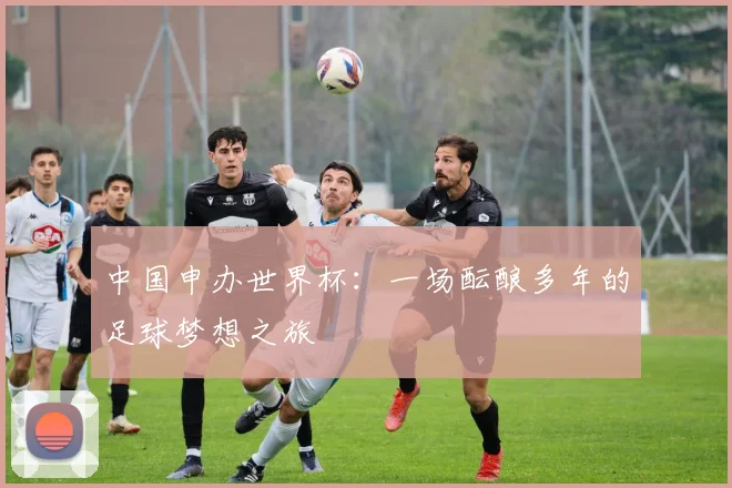 中国申办世界杯:一场酝酿多年的足球梦想之旅