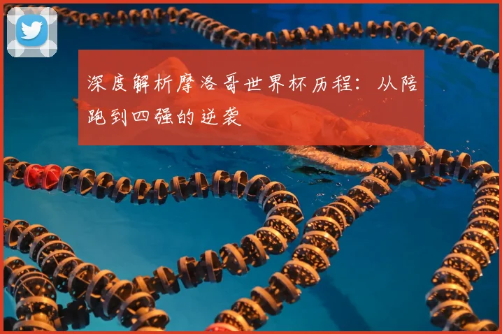 深度解析摩洛哥世界杯历程：从陪跑到四强的逆袭