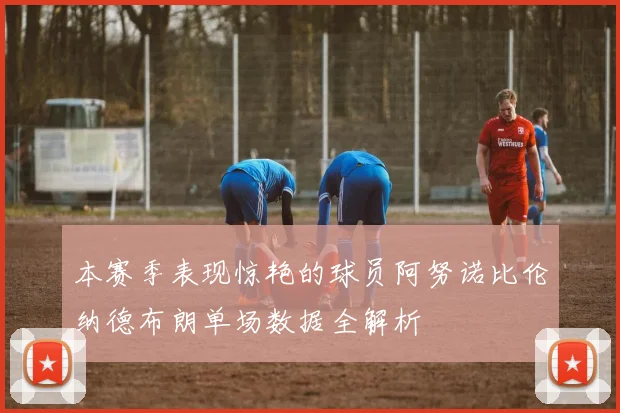 本赛季表现惊艳的球员阿努诺比伦纳德布朗单场数据全解析