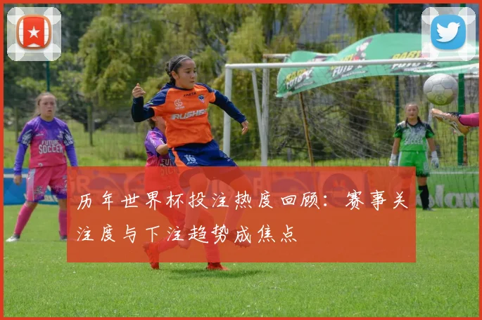 历年世界杯投注热度回顾：赛事关注度与下注趋势成焦点