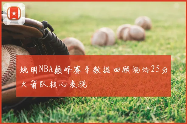 姚明NBA巅峰赛季数据回顾场均25分火箭队核心表现
