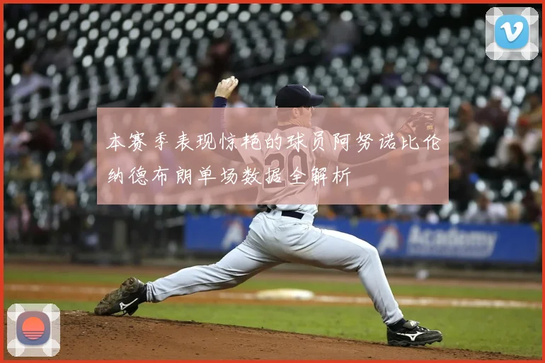 本赛季表现惊艳的球员阿努诺比伦纳德布朗单场数据全解析