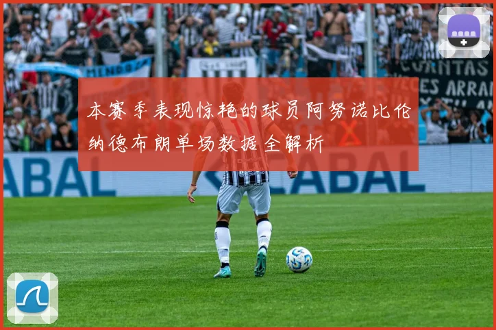 本赛季表现惊艳的球员阿努诺比伦纳德布朗单场数据全解析