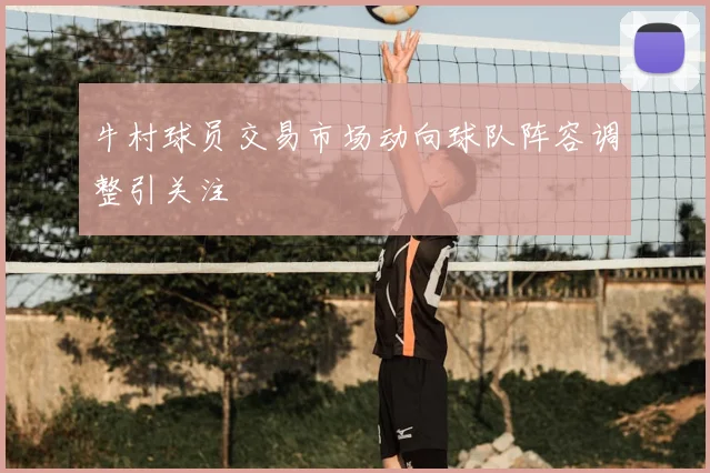 牛村球员交易市场动向球队阵容调整引关注