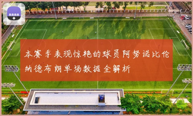 本赛季表现惊艳的球员阿努诺比伦纳德布朗单场数据全解析