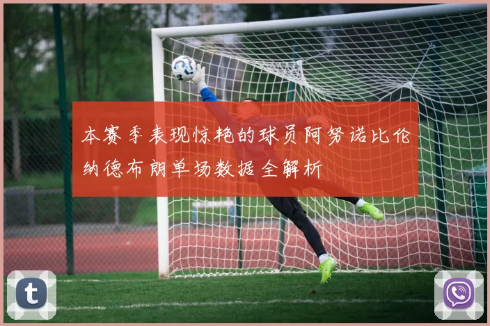本赛季表现惊艳的球员阿努诺比伦纳德布朗单场数据全解析