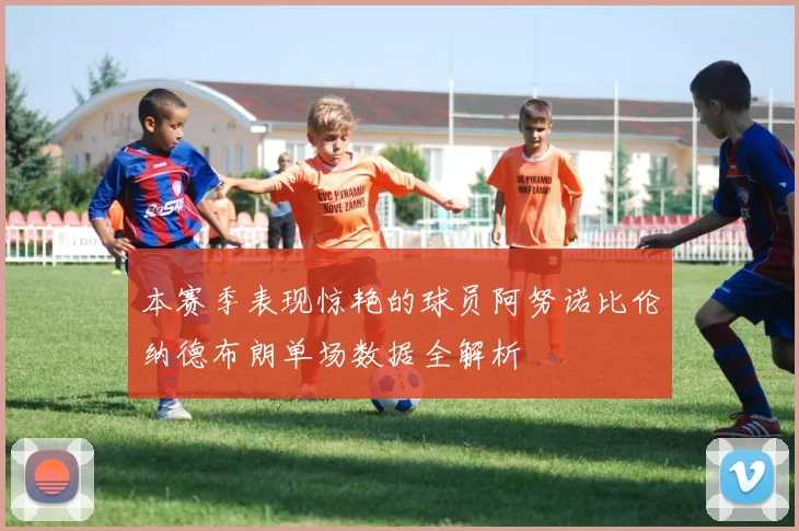 本赛季表现惊艳的球员阿努诺比伦纳德布朗单场数据全解析