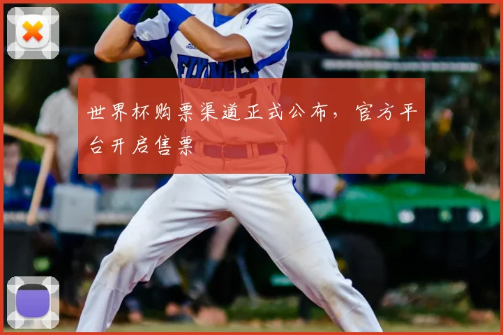 世界杯购票渠道正式公布，官方平台开启售票