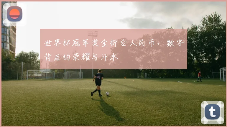 世界杯冠军奖金折合人民币,数字背后的荣耀与汗水