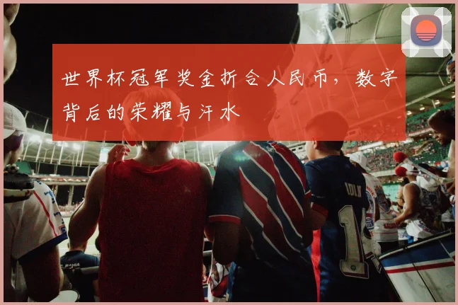世界杯冠军奖金折合人民币，数字背后的荣耀与汗水