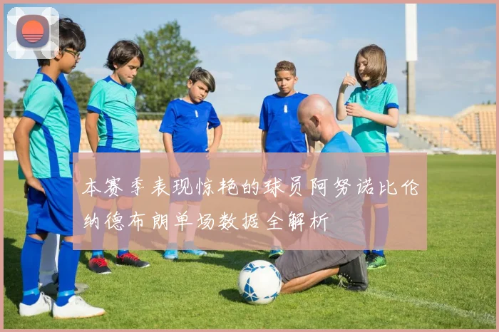 本赛季表现惊艳的球员阿努诺比伦纳德布朗单场数据全解析